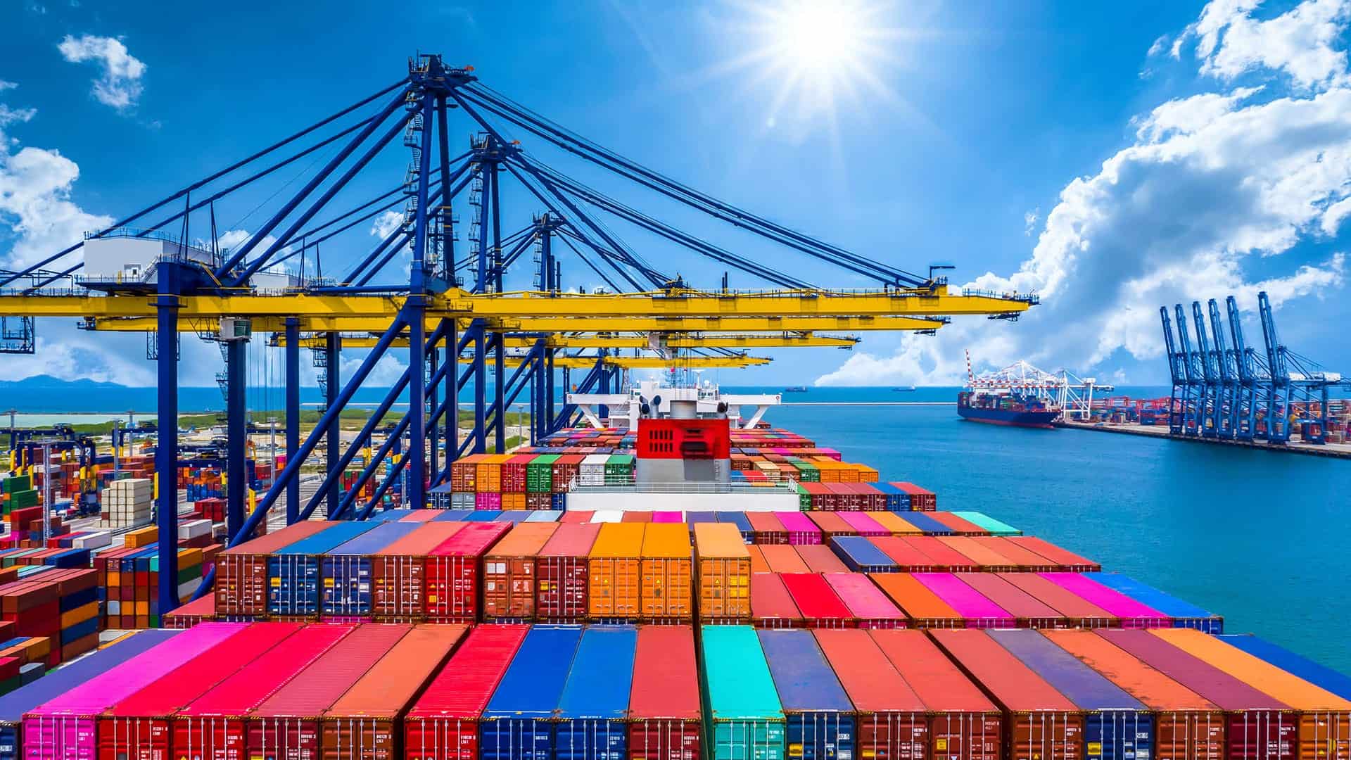 designed for competitiveness, resilience and economic resilience